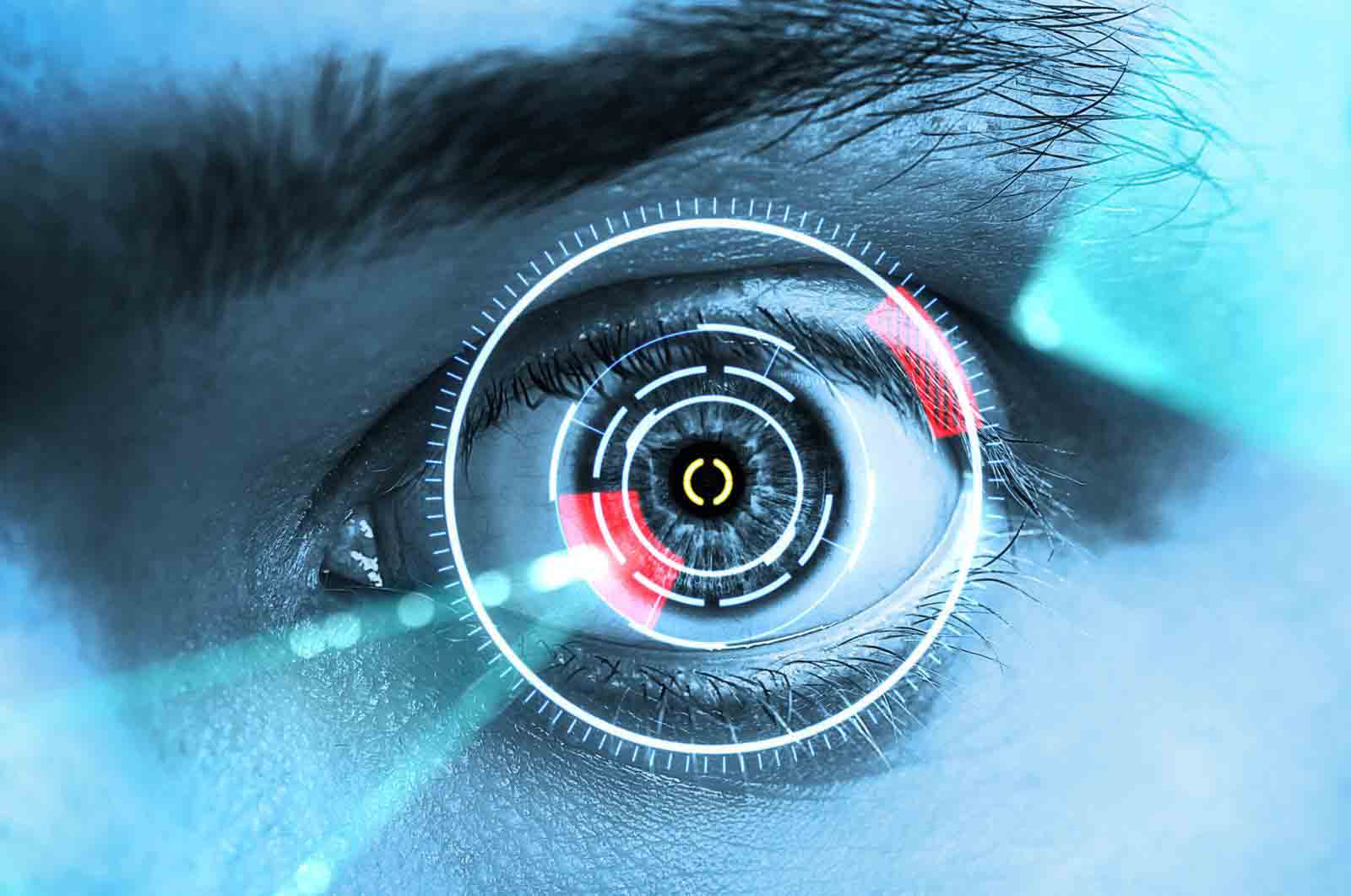 Biometrics Security System using the Smart Eye System